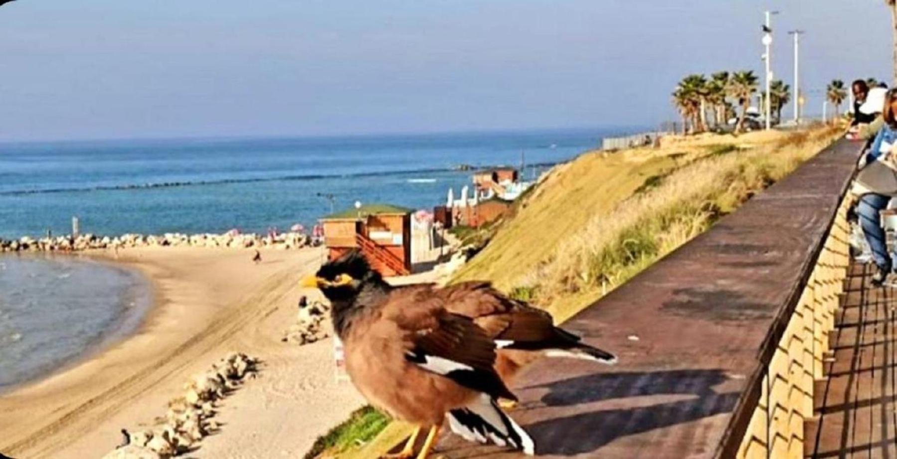 Motel Hofim Bat Yam Exterior foto